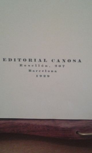 Libro biografía de Gaudi