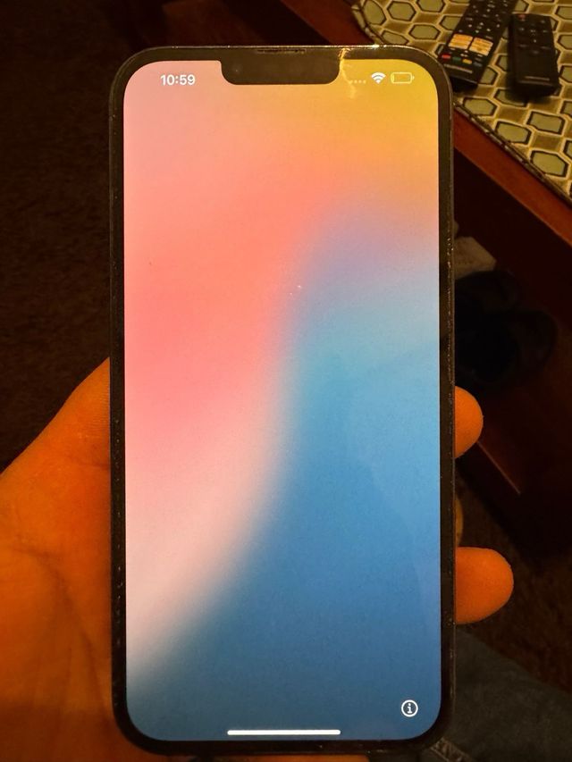 Iphone 13 Pro Max 256Gb