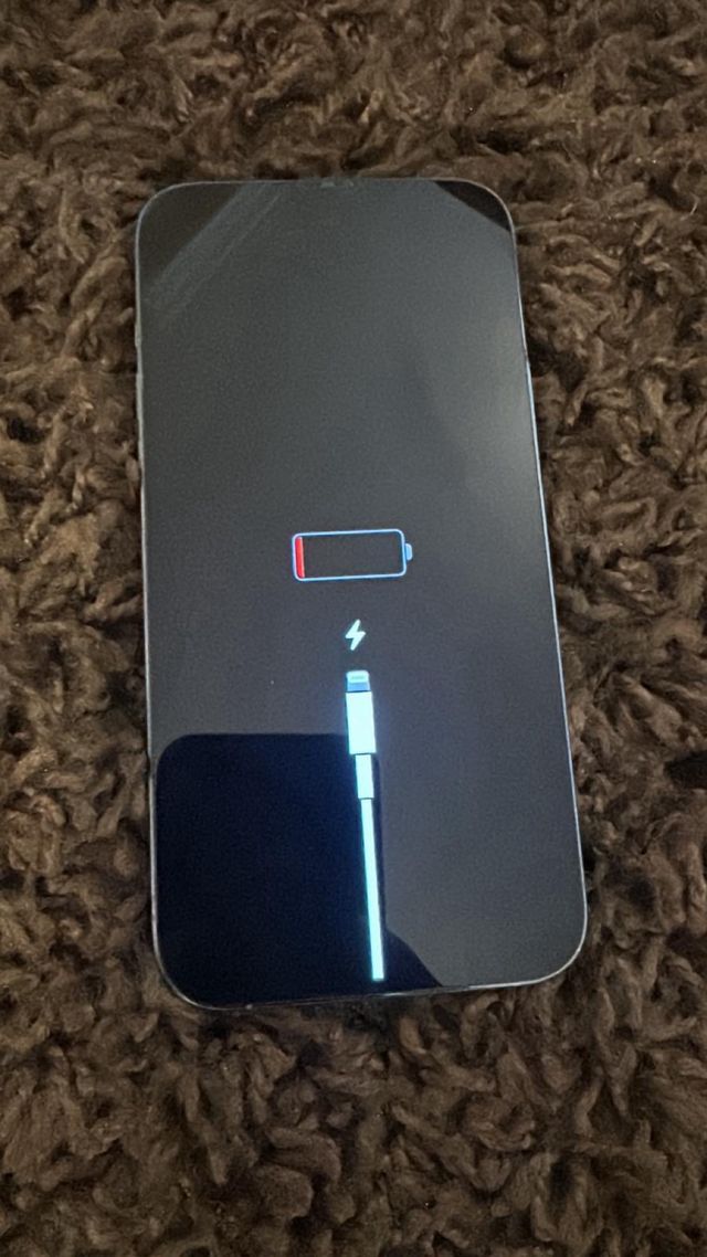 Iphone 13 Pro Max 256Gb