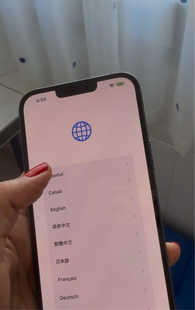 Iphone 13 Pro Max 256Gb