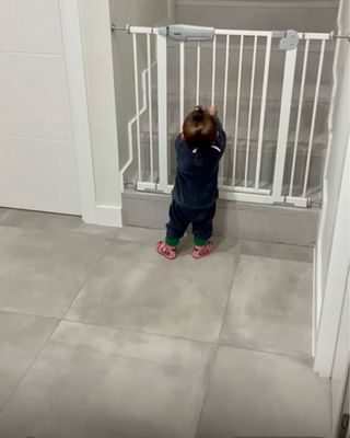 Barandilla escalera para bebes / Perros