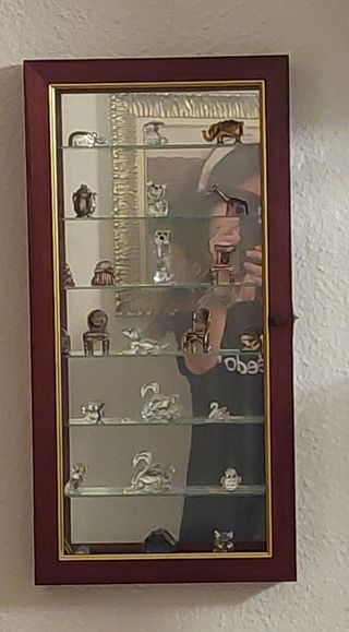 Vitrina pequeña 
