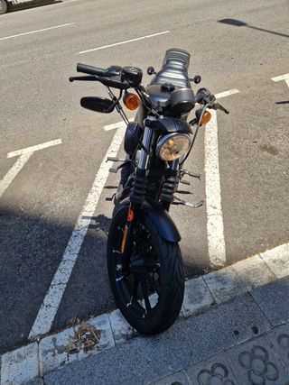 Harley Davidson Sporter 883 Iron