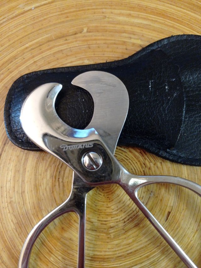 Tosatrice DONATUS Solingen