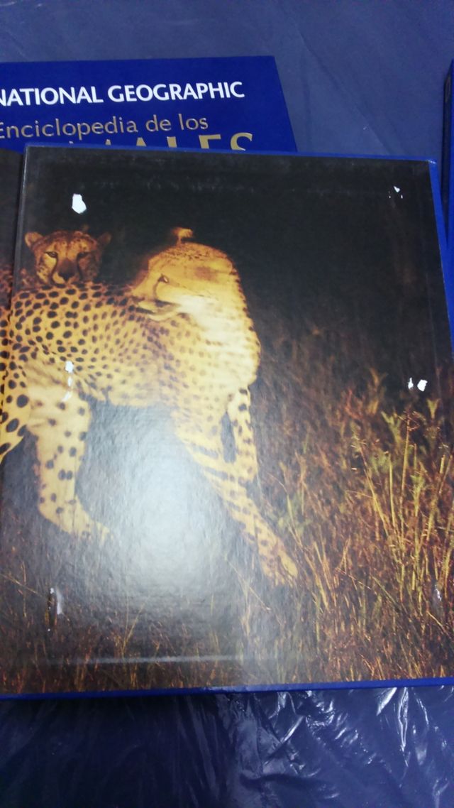 4 tomos enciclopedia animales Nacional Geographic