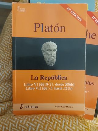 PLATÓN. La República: libro VI (18-21 desde 506b), libro VII (1-5 hasta 521b) (HISTORIA DE LA FILOSOFÍA) (Spanish Edition)
