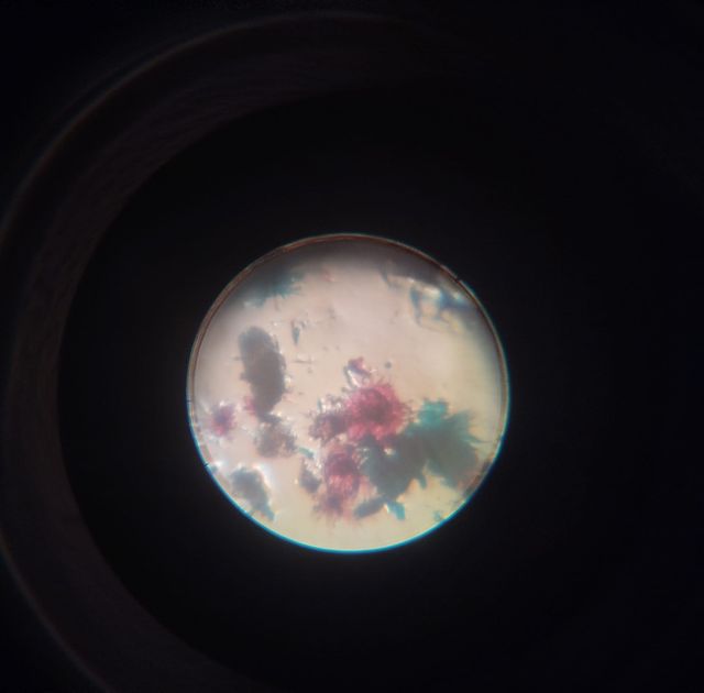 Microscopio