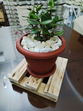 Porta piante in legno bruciato da intern