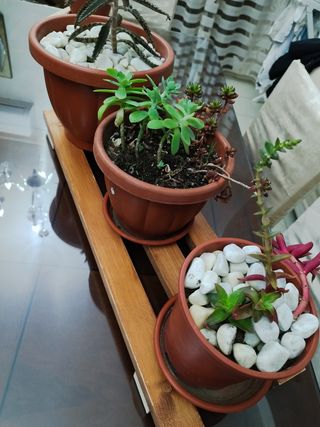 Porta piante in legno colorato da intern