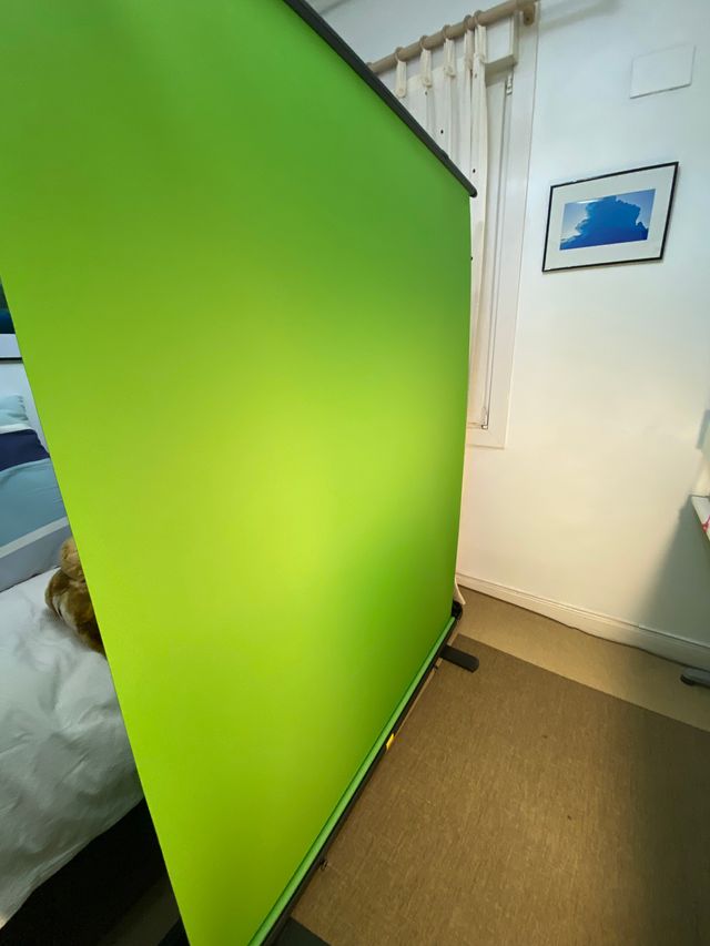 El gato Green Screen - fondo chromakey plegable