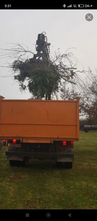 Soluciones en recogida de podas de arboles