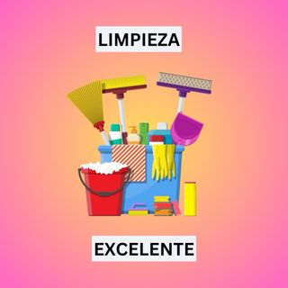 Limpiadora Limpieza Limpia