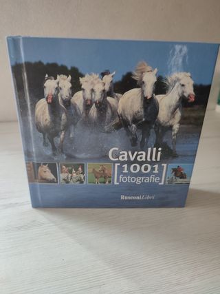 Cavalli