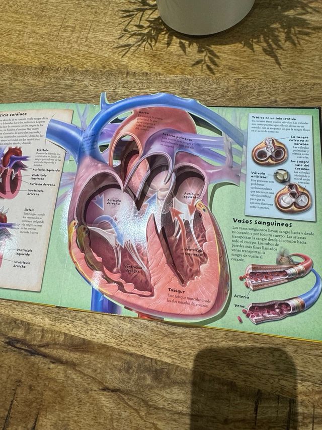 libro el cuerpo humano 3D