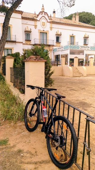 BICICLETA MTB SCOTT XL