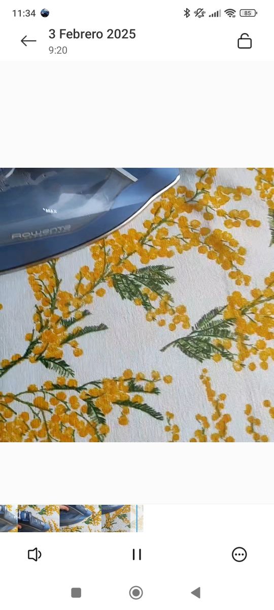 Tú y yo mimosas camino de mesa