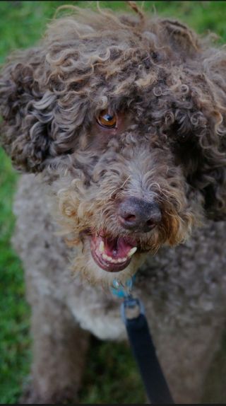  Fotos fotografia huelva