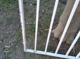 REJA PARA VENTANA DE HIERRO