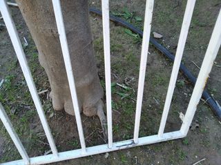 REJA PARA VENTANA DE HIERRO