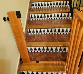 Barrera Escalera Jane