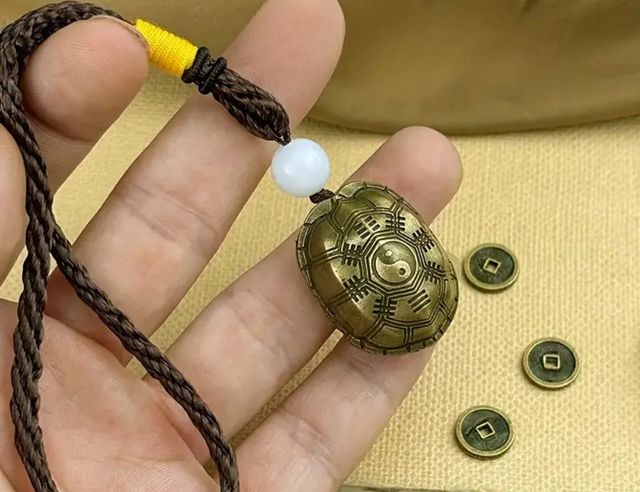 Tortuga suerte amuleto nuevo