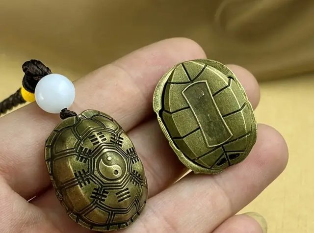 Tortuga suerte amuleto nuevo