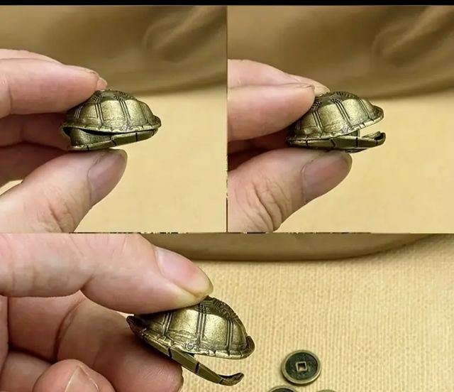 Tortuga suerte amuleto nuevo