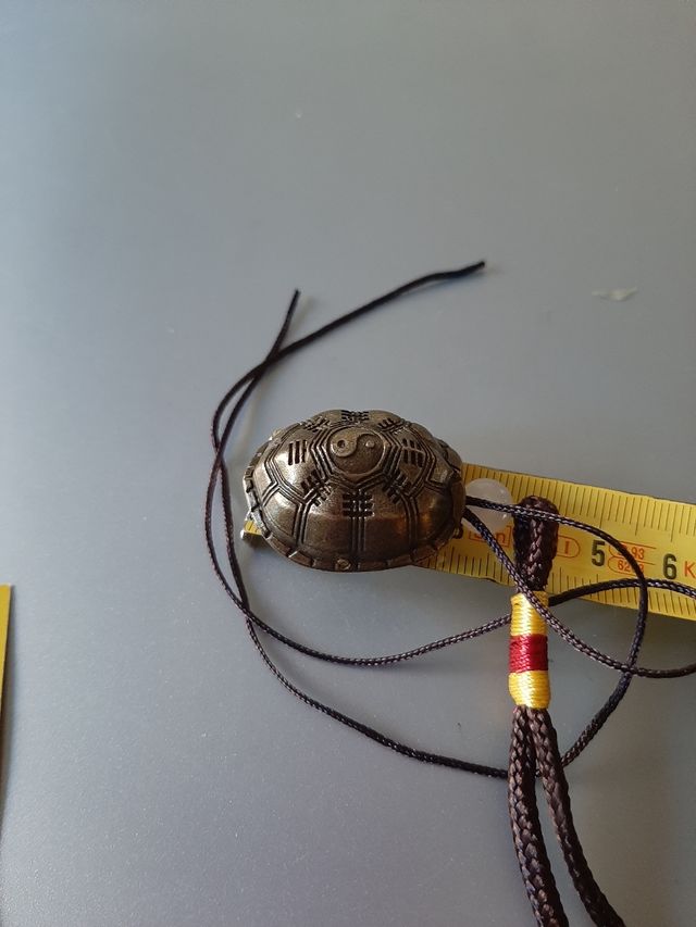 Tortuga suerte amuleto nuevo