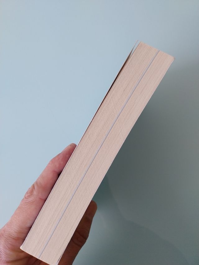 El sueño de África