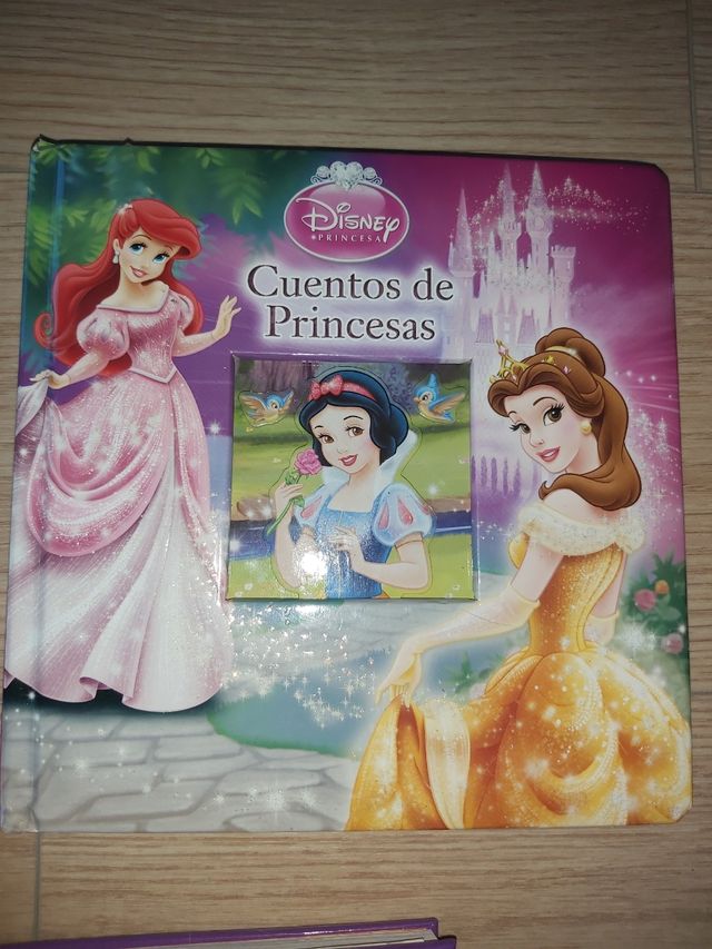CUENTOS PRINCESAS LOTE