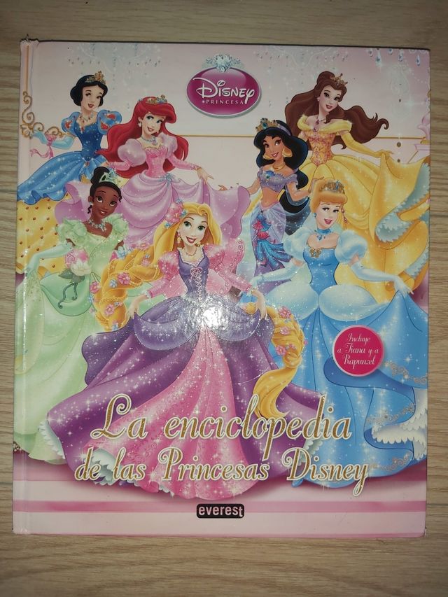 CUENTOS PRINCESAS LOTE