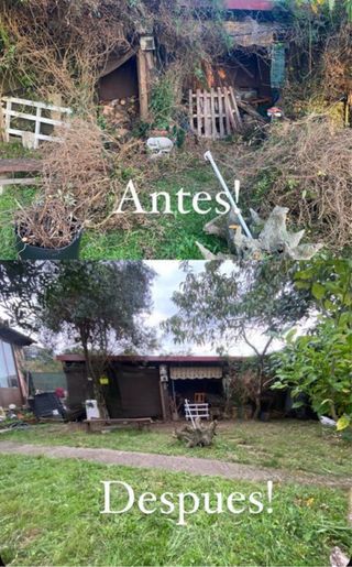 Se realizan todo tipo de trabajos de jardineria