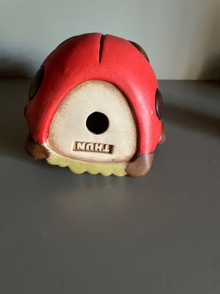 Coccinella grande thun