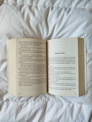 Perdona si te llamo amor