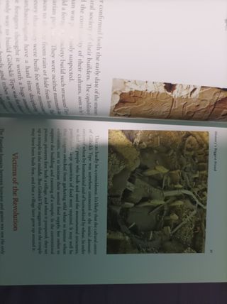 Sapiens. Yuval Noah Harari. Primera edición ingles