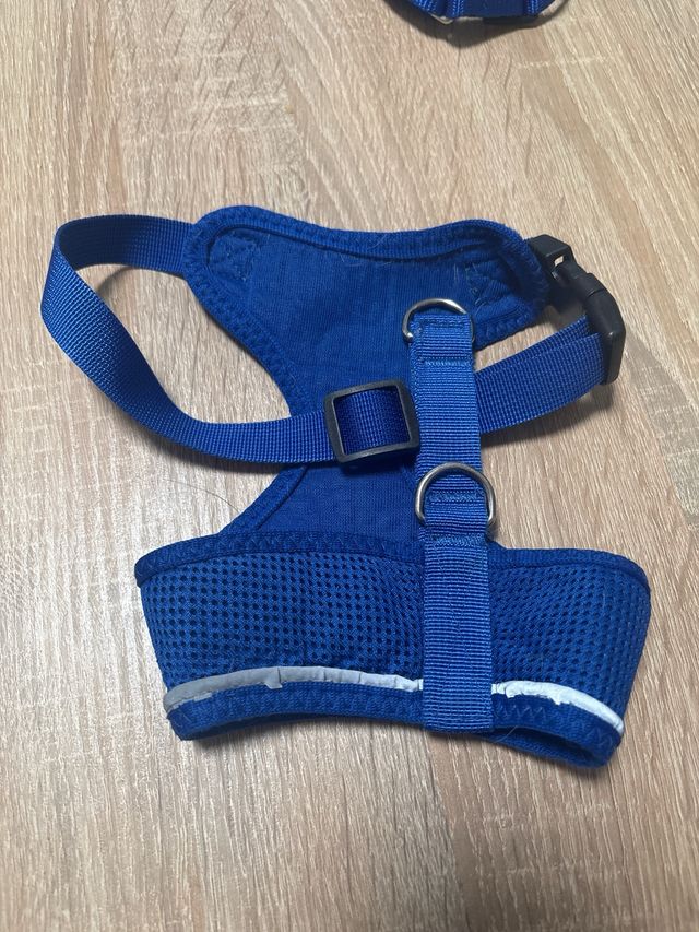 Arnes perro talla M