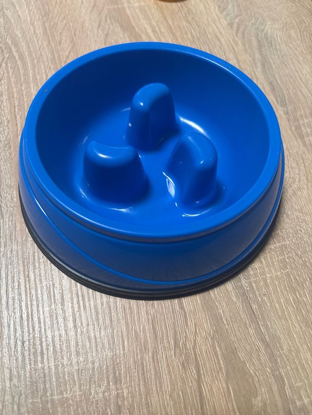 Comedero perro ansiedad