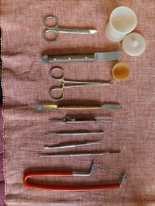 Material para estudio de prótesis dental