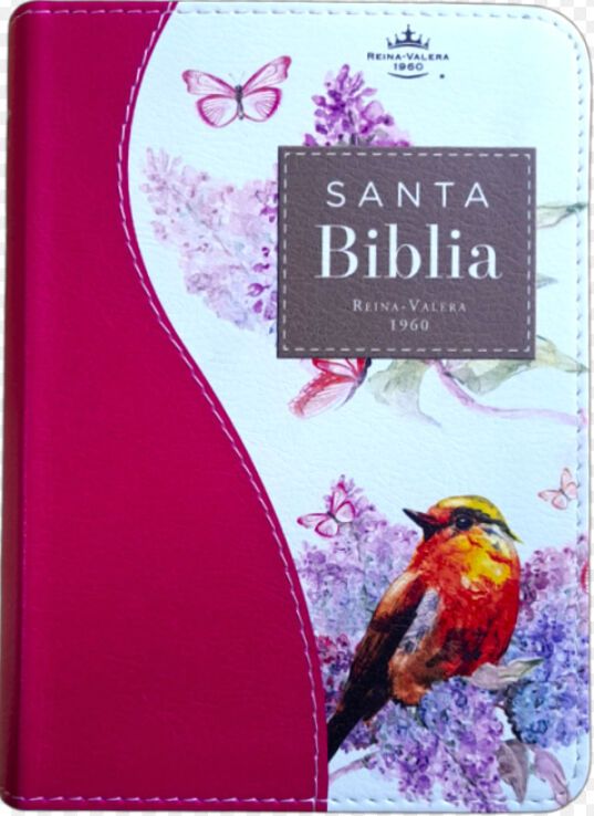 Biblia RVR 1960 - Bonita - pájaro - mujer