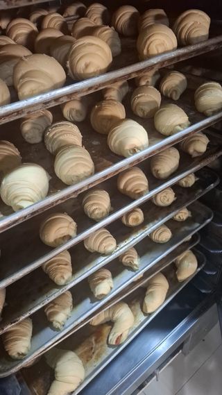 Busco trabajo como panadero