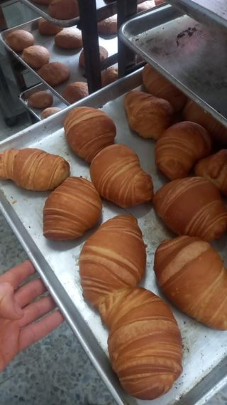 Busco trabajo como panadero