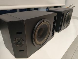 BOSE 301 IV
