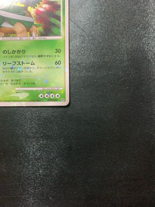 Torterra HOLO Dp1 - Cartas Pokemon