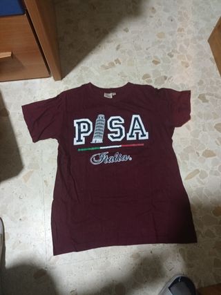 Camiseta de PISA