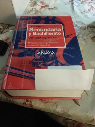 Diccionario de Secundaria y Bachillerato (Spanish Edition)