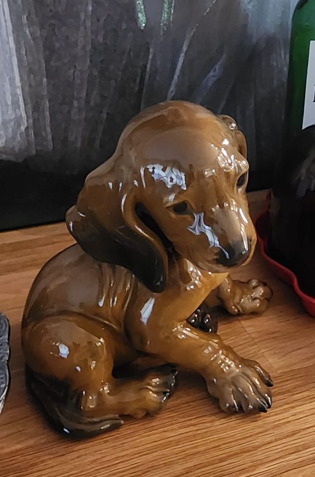 Cucciolo di Bassotto Rosenthal