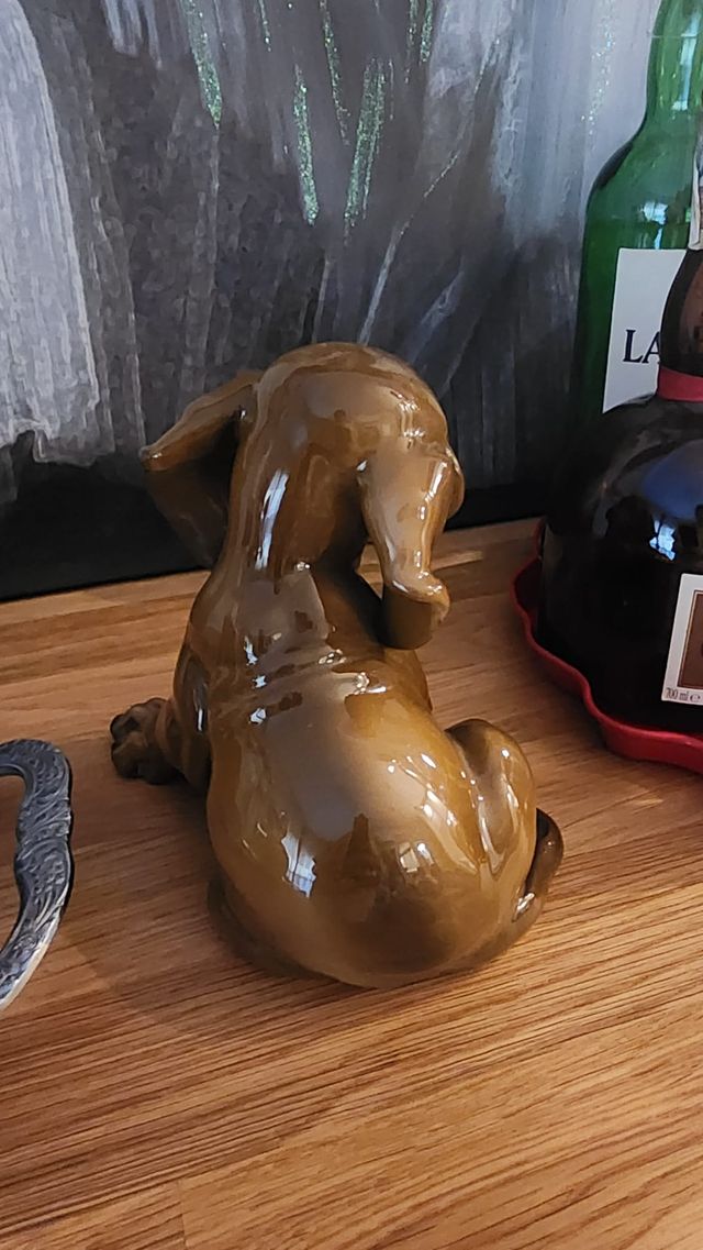 Cucciolo di Bassotto Rosenthal