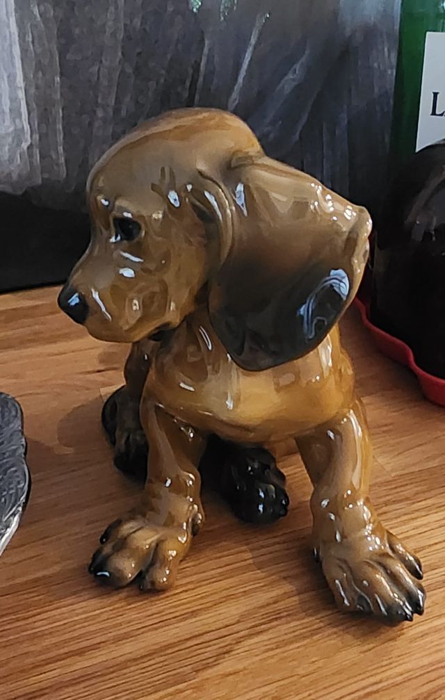 Cucciolo di Bassotto Rosenthal