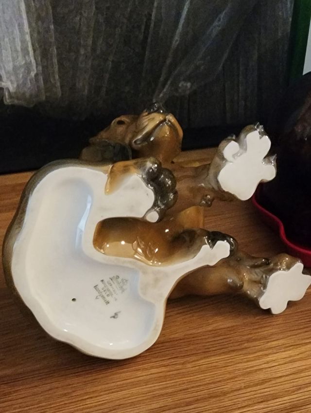 Cucciolo di Bassotto Rosenthal