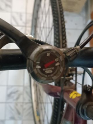 Pack de bicicletas vintage